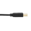 Tripp Lite series DisplayPort KVM Cable Kit - DP, USB, 3.5 mm Audio (3xM/3xM) + USB (M/M), 4K, 4:4:4, 6 ft. (1.83 m), Black