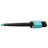 Tripp Lite series 400G Multimode 50/125 OM4 Plenum Fiber Optic Cable, 24F MTP/MPO-PC to (x2) 12F MTP/MPO-PC (F/F), Aqua, 5 m