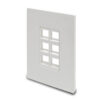 b4b16f67dbe37bb556b1f7d1bcd97f08 Tripp Lite series 6-Port Keystone Single-Gang Faceplate, White, TAA - N080-106