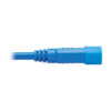 Tripp Lite series Heavy-Duty PDU Power Cord, C13 to C14 - 15A, 250V, 14 AWG, 6 ft. (1.83 m), Blue