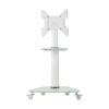 Tripp Lite series Premier Rolling TV Cart for 32” to 55” Displays, Frosted Glass Base and Shelf, Locking Casters, White
