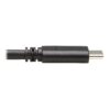 Tripp Lite series USB-C to USB-B Cable (M/M) - USB 3.2 Gen 2 (10 Gbps), Thunderbolt 3 Compatible, 20 in. (51 cm)