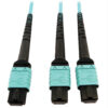 Tripp Lite series 400G Multimode 50/125 OM4 Plenum Fiber Optic Cable, 24F MTP/MPO-PC to (x2) 12F MTP/MPO-PC (F/F), Aqua, 5 m