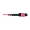 Tripp Lite series 100G Multimode 50/125 OM4 Fiber Optic Cable (12F MTP/MPO-PC F/F), OFNP, Magenta, 2 m (6.6 ft.), TAA