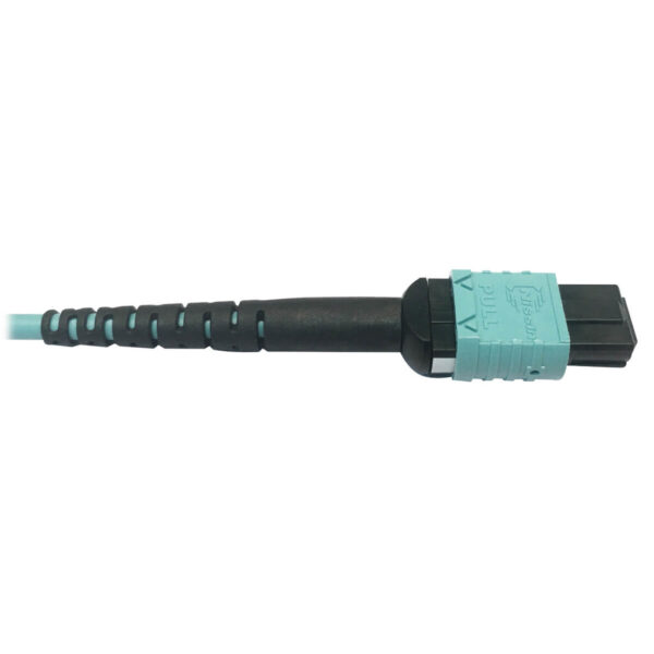 bc0cf4a18fd397516356fe12eef5f983-1 Tripp Lite series 400G Multimode 50/125 OM4 Plenum Fiber Optic Cable, 24F MTP/MPO-PC to (x2) 12F MTP/MPO-PC (F/F), Aqua, 1 m