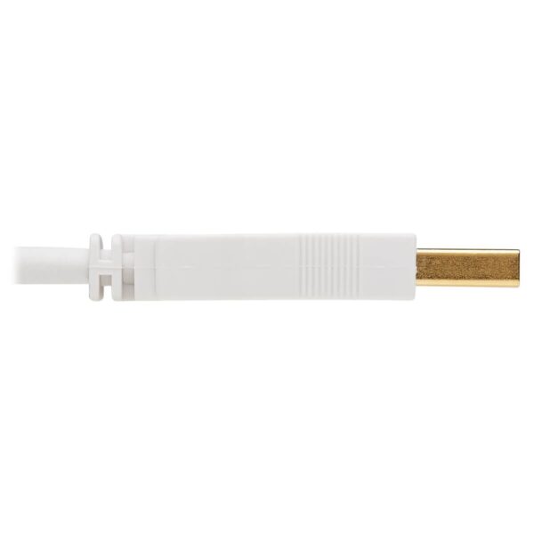 Tripp Lite series Safe-IT USB 2.0 Antibacterial Extension Cable (A M/F), USB 2.0, White, 6 ft. (1.83 m)