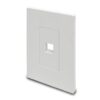 bcea17ba5dd5b8fbe1f8daf79c477171 Tripp Lite series 1-Port Keystone Single-Gang Faceplate, White, TAA