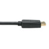 be76d6102316d721383f61c1ee3b0dd0 Tripp Lite series DisplayPort to DVI Adapter Video Converter, Black (M/F), 1 ft. (0.31 m)