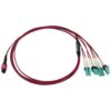 Tripp Lite series 40/100G Multimode 50/125 OM4 Fiber Optic Cable (12F MTP/MPO-PC to 4x Duplex LC/PC F/M), LSZH, Magenta, 1 m (3.3 ft.)