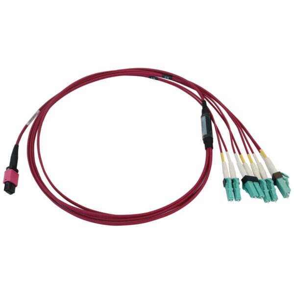 Tripp Lite series 40/100G Multimode 50/125 OM4 Fiber Optic Cable (12F MTP/MPO-PC to 4x Duplex LC/PC F/M), LSZH, Magenta, 1 m (3.3 ft.)