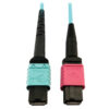 bef72078aa5e015795d8d908359dc796-1 Tripp Lite series 400G Multimode 50/125 OM4 Plenum Fiber Optic Cable, 24F MTP/MPO-UPC to 16F MTP/MPO-UPC (F/F), Aqua, 3 m