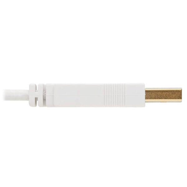 Tripp Lite series Safe-IT USB 2.0 A to USB Mini-B Antibacterial Cable (M/M), White, 6 ft. (1.83 m)