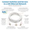 c2902cb41e84b1508e2376582ff6a182 Tripp Lite series Safe-IT Cat6a 10G Snagless Antibacterial S/FTP Ethernet Cable (RJ45 M/M), PoE, White, 25 ft. (7.62 m), TAA