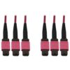 c364e2acf9a813026681b64a5c797102-2 Tripp Lite series 40/100/400G Multimode 50/125 OM4 Fiber Optic Cable (3x8F MTP/MPO-PC F/F), LSZH, Magenta, 30 m (98.4 ft.)
