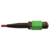 Tripp Lite series 400G Multimode 50/125 OM4 Plenum Fiber Optic Cable, 16F MTP/MPO-APC to MTP/MPO-UPC (F/F), Magenta, 5 m