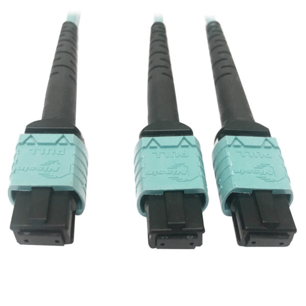 c523d0a142dd394096b4c22e4331c28b Tripp Lite series 400G Multimode 50/125 OM4 Plenum Fiber Optic Cable, 24F MTP/MPO-PC to (x2) 12F MTP/MPO-PC (F/F), Aqua, 3 m