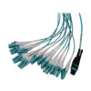 Tripp Lite series Preloaded Fiber Panel, 1U - 2x (24F MTP/MPO-PC to 12x LC Duplex F/M) 24F Trunk Cables, OM4 Multimode, 10 m (32.8 ft.)