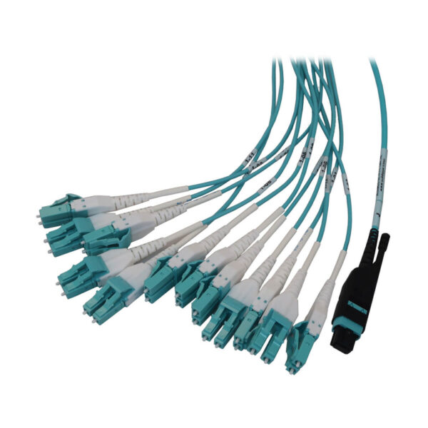 Tripp Lite series Preloaded Fiber Panel, 1U - 2x (24F MTP/MPO-PC to 12x LC Duplex F/M) 24F Trunk Cables, OM4 Multimode, 10 m (32.8 ft.)
