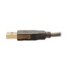 c6c887f6cabc8c466b34e77e5594bc3f Tripp Lite series USB 2.0 Active Extension Repeater Cable (A M/F), 25 ft. (7.62 m)