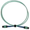 c78933393c5b1934c90adf4ea477366e Tripp Lite series 40/100/400G Multimode 50/125 OM3 Fiber Optic Cable (24F MTP/MPO-PC F/F), LSZH, Aqua, 1 m (3.3 ft.)