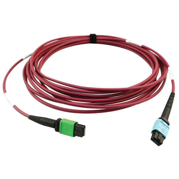 ca4cc5e1210f2d649ccf79f2d9f8fa0e Tripp Lite series 400G Multimode 50/125 OM4 Plenum Fiber Optic Cable, 16F MTP/MPO-APC to 24F MTP/MPO-UPC (F/F), Magenta, 5 m