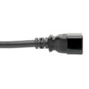 Tripp Lite series Power Extension Cord, Locking C19 to C20 - Heavy-Duty, 20A, 100-250V, 12 AWG, 10 ft. (3.05 m), Black