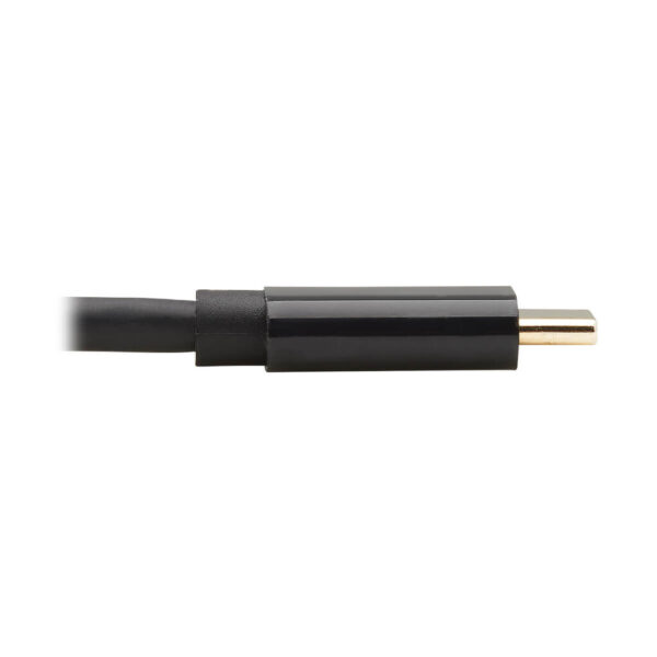 cc409d64c2366fe68befe54e1e481c69 Tripp Lite series USB-C to DisplayPort Bi-Directional Active Adapter Cable (M/M), 4K 60 Hz, HDR, Locking DP Connector, 6 ft. (1.8 m), TAA