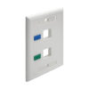 Tripp Lite series 2-Port Keystone Faceplate, Single Gang, ID Labels, White, TAA