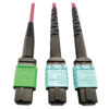 Tripp Lite series 400G Multimode 50/125 OM4 Plenum Fiber Optic Cable, 16F MTP/MPO-APC to (x2) 12F MTP/MPO-UPC (F/F), Magenta, 5 m