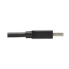 ce8e18da494ab0c310b108779ea4d2ae Tripp Lite series USB 3.0 SuperSpeed A to A Cable for USB 3.0 All-in-One Keystone/Panel Mount Couplers (M/M), Black, 10 ft. (3 m) - U325-010