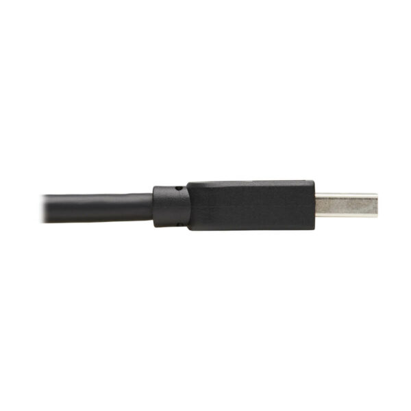 ce8e18da494ab0c310b108779ea4d2ae Tripp Lite series USB 3.0 SuperSpeed A to A Cable for USB 3.0 All-in-One Keystone/Panel Mount Couplers (M/M), Black, 10 ft. (3 m) - U325-010