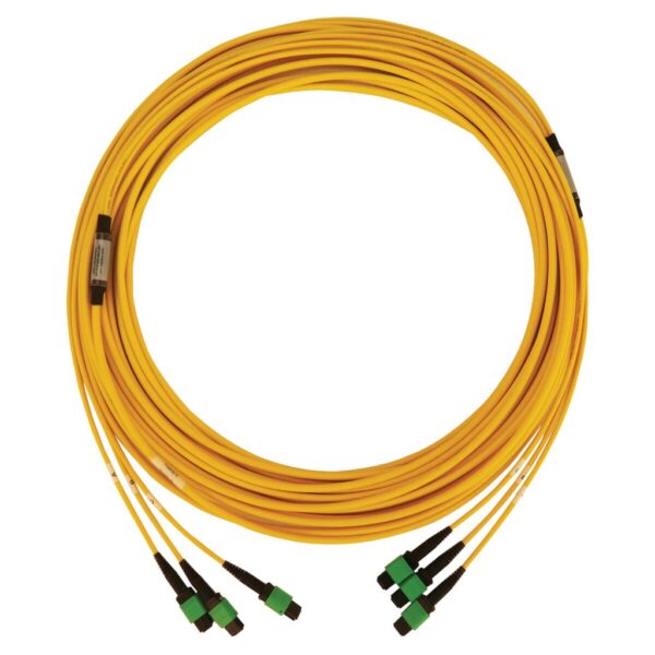 Tripp Lite series 40/100G Singlemode 9/125 OS2 Fiber Optic Cable (3x8F MTP/MPO-APC F/F), LSZH, Yellow, 15 m (49 ft.)