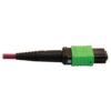 cfcd8d0394df28ffed9afb59212a971a Tripp Lite series 400G Multimode 50/125 OM4 Plenum Fiber Optic Breakout Cable, 16F MTP/MPO-APC to (x4) LC Duplex (F/M), Magenta, 5 m