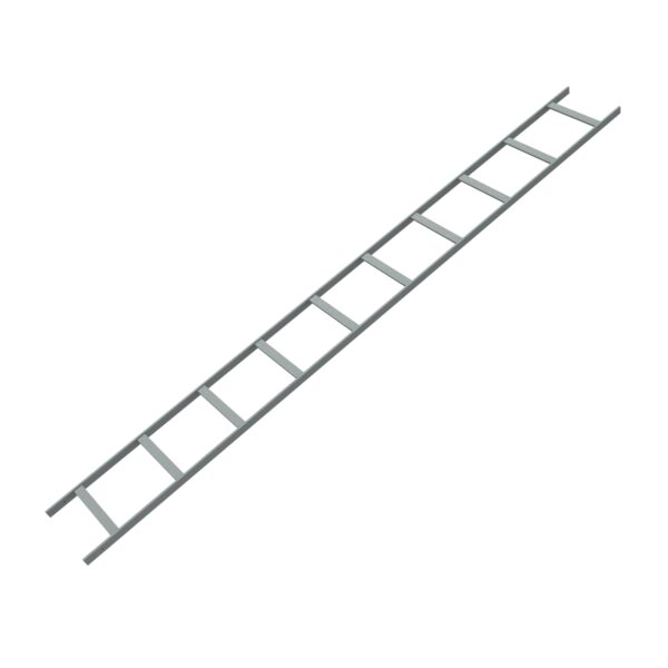 Hammond Cable Ladder 12W 10FT LG