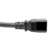 d02a983a9470a26f206becc8e4e89c33-1 Tripp Lite series Power Extension Cord, C19 to C20 - Heavy-Duty, 20A, 250V, 12 AWG, 2 ft. (0.61 m), Black
