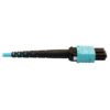d07e9663a3c98254ea3fa591f3fa5969 Tripp Lite series 400G Multimode 50/125 OM4 Plenum-Rated Fiber Optic Cable, 24F MTP/MPO-PC (F/F), Aqua, 10 m