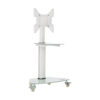 Tripp Lite series Premier Rolling TV Cart for 32” to 55” Displays, Frosted Glass Base and Shelf, Locking Casters, White