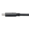 Tripp Lite series USB-C to USB-A Cable (M/M), USB 3.2 Gen 1 (5 Gbps), Thunderbolt 3 Compatible, 6 ft. (1.83 m)