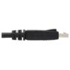 Tripp Lite series Safe-IT High-Speed DisplayPort Antibacterial Cable with Latching Connectors (M/M), UHD 4K 60 Hz, 6 ft. (1.83 m)