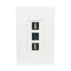 d6e5761c554667c468da42e340d1110c Tripp Lite series 3-Port Keystone Single-Gang Faceplate, White, TAA