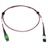 d7bb9bc1bba63c18529615ba3c4ed706 Tripp Lite series 400G Multimode 50/125 OM4 Plenum Fiber Optic Cable, 16F MTP/MPO-APC to 24F MTP/MPO-UPC (F/F), Magenta, 1 m