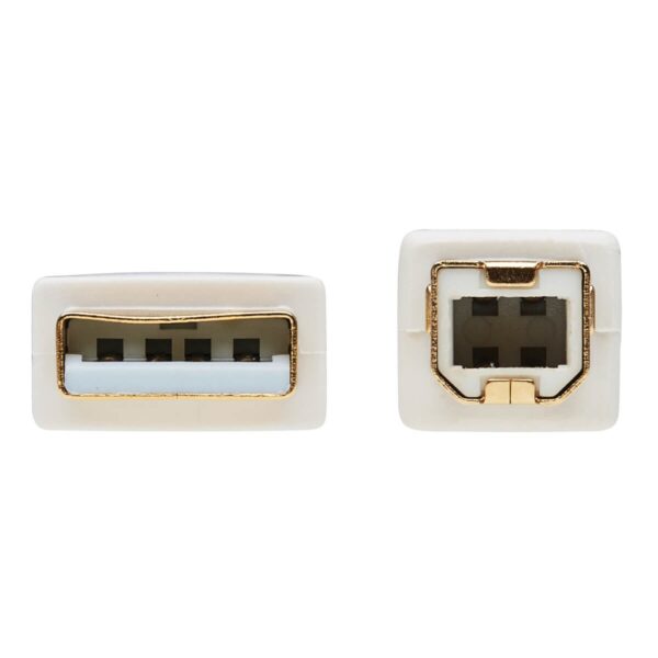 d89dd26a8f56716fea476cc0c2a1a306 Tripp Lite series Safe-IT USB 2.0 A to B Antibacterial Cable (M/M), White, 6 ft. (1.83 m)