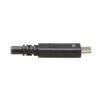 db0c44da518b540ae25bc46845caf08d Tripp Lite series USB-C Cable (M/M) - USB 3.2, Gen 2 (10 Gbps), 5A (100W) Rating, Thunderbolt 3 Compatible, 20-in. (50.8 cm)