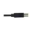 db91e9c8ffe679299fd437d0c7394e7e-1 Tripp Lite series USB 3.2 Gen 1 Plenum-Rated Fiber Active Optical Cable (AOC) - 5 Gbps, (A to B M/M), Black, 30 m