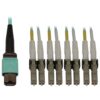 Tripp Lite series 40/100/400G Multimode 50/125 OM3 Fiber Optic Cable (12F MTP/MPO-PC to 4x Duplex LC/PC F/M), LSZH, Aqua, 5 m (16.4 ft.)