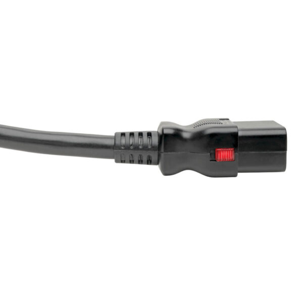 Tripp Lite series Power Extension Cord, Locking C19 to C20 - Heavy-Duty, 20A, 100-250V, 12 AWG, 10 ft. (3.05 m), Black