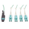dfd560f6c2e6d42e720a231640a285dd-1 Tripp Lite series MTP/MPO Fan-out Cable with Push/Pull Tab Connectors, MTP/MPO to 4xLC, 40GbE, 40GBASE-SR4,OM3 Plenum-rated - Aqua, 2M (6.56 ft.)