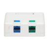 Tripp Lite series Surface-Mount Box for Keystone Jacks - 2 Ports, White, TAA