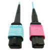 Tripp Lite series 400G Multimode 50/125 OM4 Plenum Fiber Optic Cable, 24F MTP/MPO-UPC to 16F MTP/MPO-UPC (F/F), Aqua, 1 m