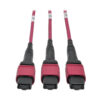 Tripp Lite 40/100Gb OM4 Fiber Breakout Cassette with Built-In MTP Cables, (x3) 8-Fiber OM4 MTP/MPO to (x12) LC Duplex - N482-3M8L12-B